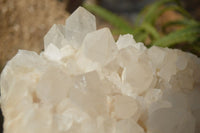 Natural White Quartz Cluster x 1 From Madagascar