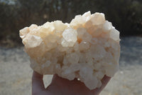 Natural White Quartz Cluster x 1 From Madagascar