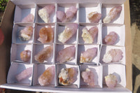 Natural Ametrine Spirit Quartz Crystals x 20 From Boekenhouthoek, South Africa