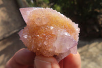 Natural Ametrine Spirit Quartz Crystals x 20 From Boekenhouthoek, South Africa