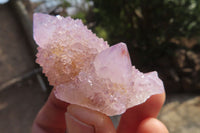 Natural Ametrine Spirit Quartz Crystals x 20 From Boekenhouthoek, South Africa