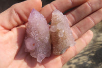 Natural Ametrine Spirit Quartz Crystals x 20 From Boekenhouthoek, South Africa