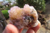 Natural Ametrine Spirit Quartz Crystals x 20 From Boekenhouthoek, South Africa