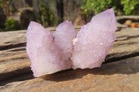 Natural Ametrine Spirit Quartz Crystals x 20 From Boekenhouthoek, South Africa