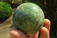 Polished Green Chrysoprase Spheres x 6 From Madagascar