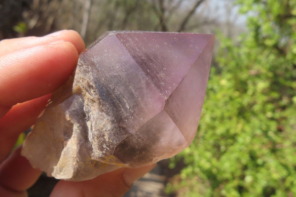 Natural Window Amethyst Crystals x 5 From Ambatondrazaka, Madagascar