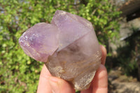 Natural Window Amethyst Crystals x 5 From Ambatondrazaka, Madagascar