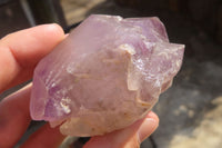 Natural Window Amethyst Crystals x 5 From Ambatondrazaka, Madagascar