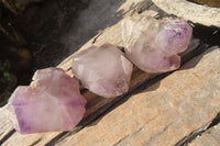 Natural Window Amethyst Crystals x 5 From Ambatondrazaka, Madagascar