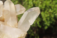 Natural Clear Quartz Clusters x 6 From Ambatofinandrahana, Madagascar