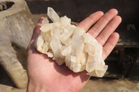 Natural Clear Quartz Clusters x 6 From Ambatofinandrahana, Madagascar