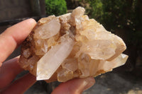 Natural Clear Quartz Clusters x 6 From Ambatofinandrahana, Madagascar