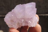 Natural Amethyst Cactus Flower Spirit Quartz Clusters x 12 From South Africa