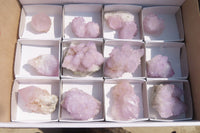 Natural Amethyst Cactus Flower Spirit Quartz Clusters x 12 From South Africa