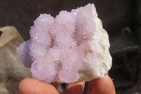 Natural Amethyst Cactus Flower Spirit Quartz Clusters x 12 From South Africa