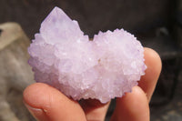 Natural Amethyst Cactus Flower Spirit Quartz Clusters x 12 From South Africa