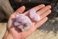 Natural Amethyst Cactus Flower Spirit Quartz Clusters x 12 From South Africa