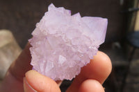 Natural Amethyst Cactus Flower Spirit Quartz Clusters x 12 From South Africa