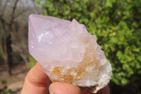 Natural Amethyst Cactus Flower Spirit Quartz Clusters x 12 From South Africa