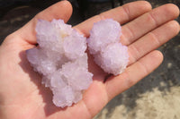 Natural Amethyst Cactus Flower Spirit Quartz Clusters x 12 From South Africa