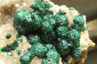 Natural Ball Malachite On Quartz Matrix Specimens x 2 From Kambove, Congo