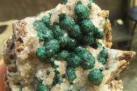 Natural Ball Malachite On Quartz Matrix Specimens x 2 From Kambove, Congo