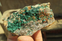 Natural Ball Malachite On Quartz Matrix Specimens x 2 From Kambove, Congo