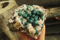 Natural Ball Malachite On Quartz Matrix Specimens x 2 From Kambove, Congo