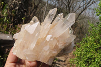 Natural Clear Quartz Clusters x 3 From Ambatofinandrahana, Madagascar