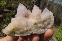 Natural Spirit Quartz Clusters x 12 From Boekenhouthoek, South Africa