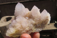 Natural Spirit Quartz Clusters x 12 From Boekenhouthoek, South Africa