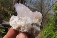 Natural Spirit Quartz Clusters x 12 From Boekenhouthoek, South Africa