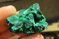 Natural Silky Malachite Specimens x 70 From Kasompe, Congo