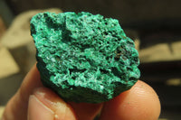 Natural Silky Malachite Specimens x 70 From Kasompe, Congo