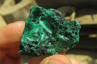 Natural Silky Malachite Specimens x 70 From Kasompe, Congo