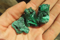 Natural Silky Malachite Specimens x 70 From Kasompe, Congo