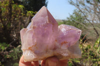 Natural Jacaranda Amethyst Clusters x 5 From Mumbwa, Zambia