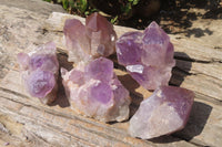 Natural Jacaranda Amethyst Clusters x 5 From Mumbwa, Zambia