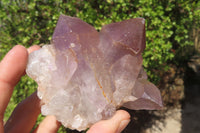 Natural Jacaranda Amethyst Clusters x 5 From Mumbwa, Zambia