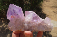 Natural Jacaranda Amethyst Clusters x 5 From Mumbwa, Zambia