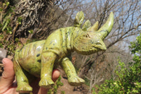 Polished Leopard Stone Rhino Carving x 1 From Nyanga, Zimbabwe