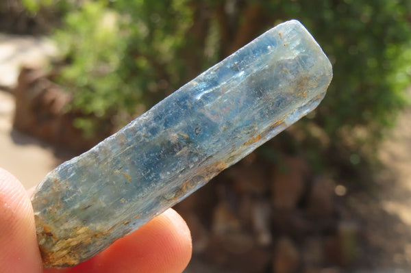 Natural Kyanite Crystal Specimens x 40 From Karoi, Zimbabwe