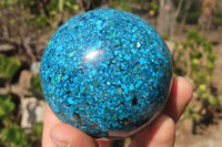 Polished Chrysocolla Conglomerate Spheres x 2 From Congo