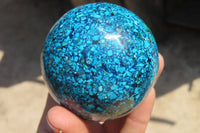 Polished Chrysocolla Conglomerate Spheres x 2 From Congo