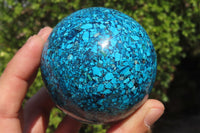 Polished Chrysocolla Conglomerate Spheres x 2 From Congo