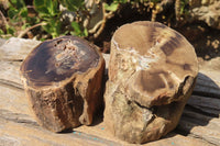 Polished Petrified Wood Branch Pieces x 2 From Gokwe, Zimbabwe