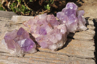 Natural Jacaranda Amethyst Clusters x 3 From Zambia