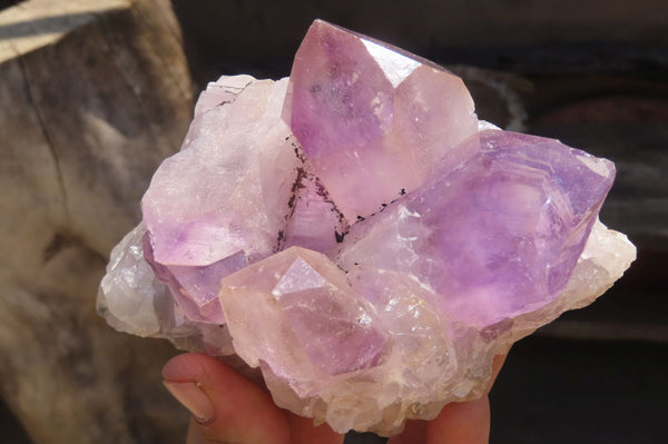 Natural Jacaranda Amethyst Clusters x 3 From Zambia