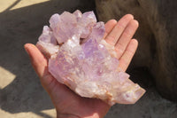 Natural Jacaranda Amethyst Clusters x 3 From Zambia