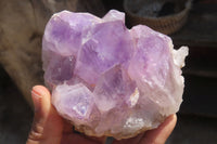 Natural Jacaranda Amethyst Clusters x 3 From Zambia